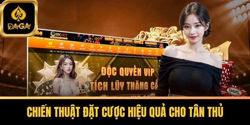 Tài Xỉu Daga Và Chia Sẻ Bí Quyết Chiến Thắng Cho Tân Thủ 6 Chiến Thuật Đặt Cược Hiệu Quả Cho Tân Thủ