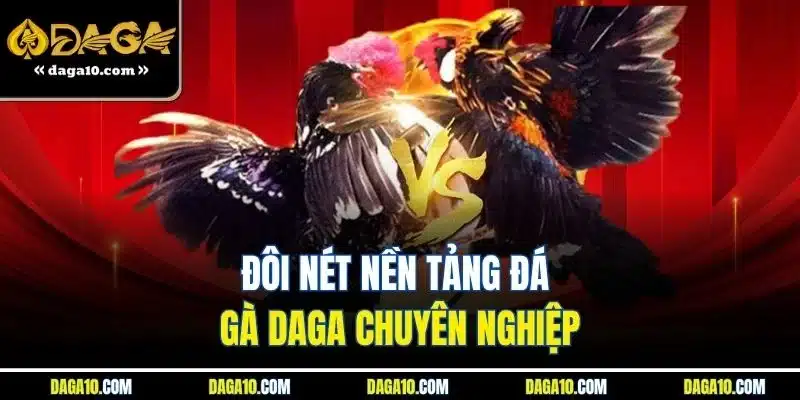 ĐÁ GÀ DAGA 6 Đôi nét nền tảng đá gà Daga chuyên nghiệp
