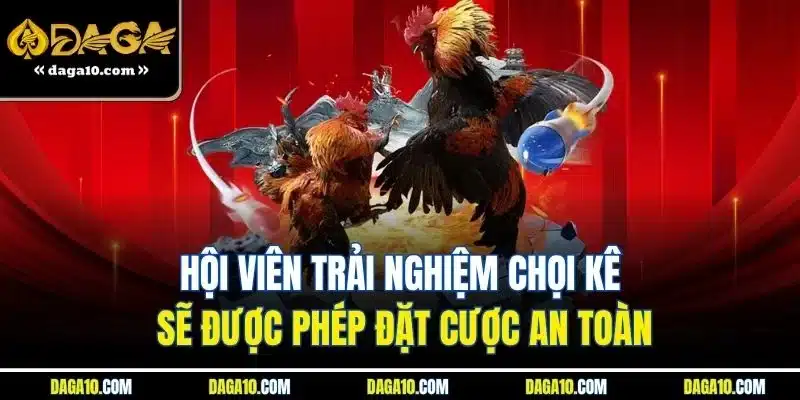 ĐÁ GÀ DAGA 7 Hội viên trải nghiệm chọi kê sẽ được phép đặt cược an toàn